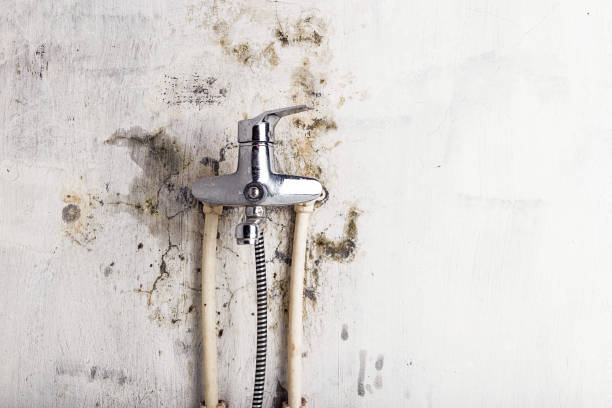 Best Office Mold Removal Services  in Hope Mills, NC
