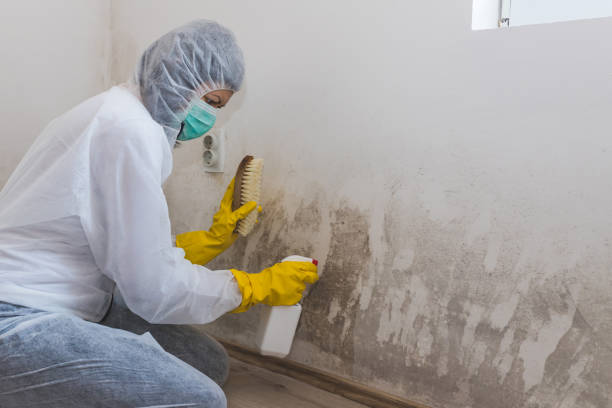 Best Mold Removal and Inspection  in Hope Mills, NC
