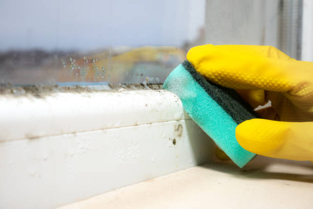 Best Mold Cleaning Services  in Hope Mills, NC