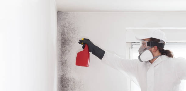 Mold Removal and Inspection in Hope Mills, NC