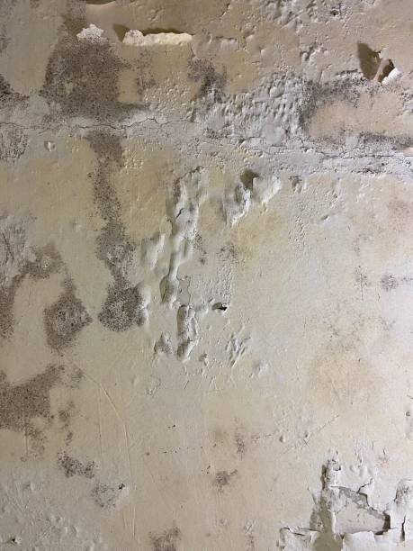 Home Mold Removal in Hope Mills, NC