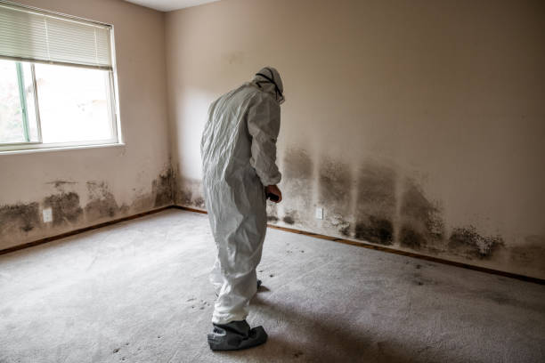 Best Crawl Space Mold Removal  in Hope Mills, NC