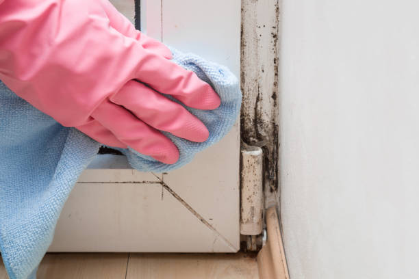 Hope Mills, NC Mold Removal Company